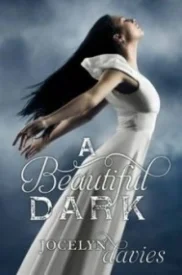 A Beautiful Dark (A Beautiful Dark #1)