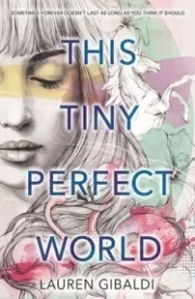 This Tiny Perfect World