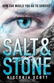 Salt & Stone (Fire & Flood #2)