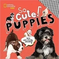 So Cute! Puppies (So Cool/So Cute)