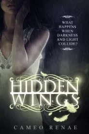 Hidden Wings (Hidden Wings #1)