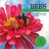 Bees: Honeybees, Bumblebees, and More! (My Wonderful World)