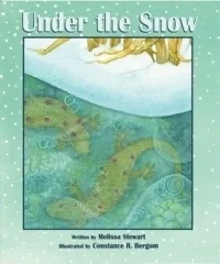 Under the Snow
