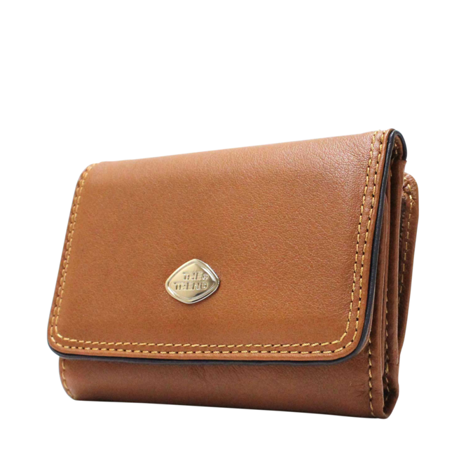 Brown Accessories for Accessories by the brand The Trend, 3. A product distributed by Chaussures Pierre Roy - Saint-Jean Quebec