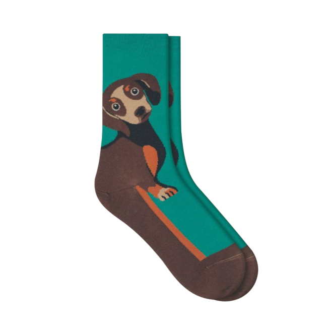 , 2. Un produit distribué par Chaussures Pierre Roy - Saint-Jean Québec