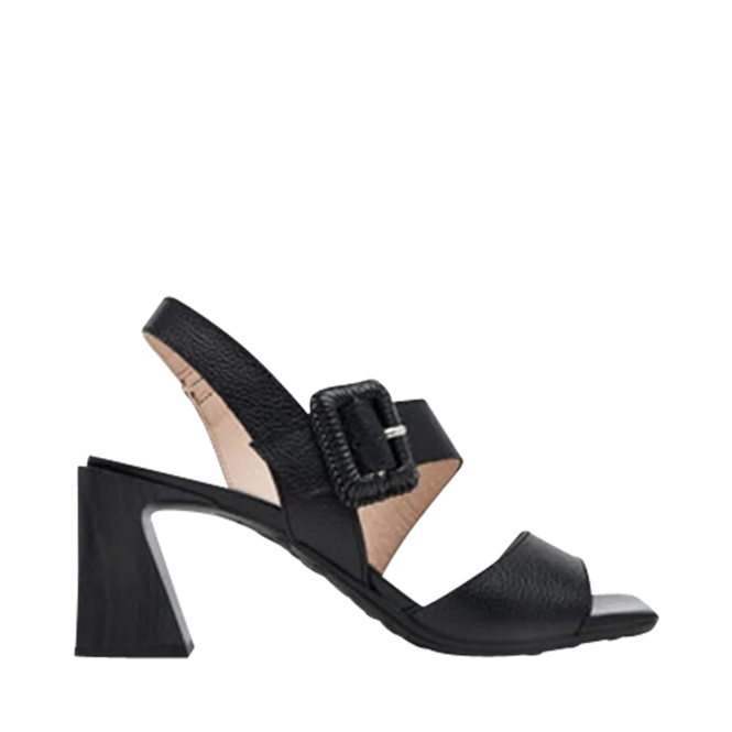 Sandales Noir pour Femmes de la marque HISPANITAS, 2. Un produit distribué par Chaussures Pierre Roy - Saint-Jean Québec