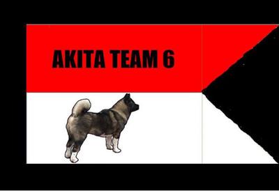 American Akita Team