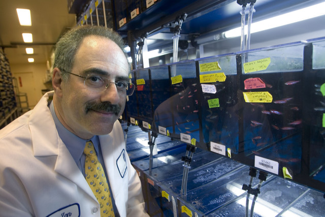 TED Talk: Dr. Leonard Zon on Stem Cells TED Talk: Dr. Leonard Zon on Stem Cells