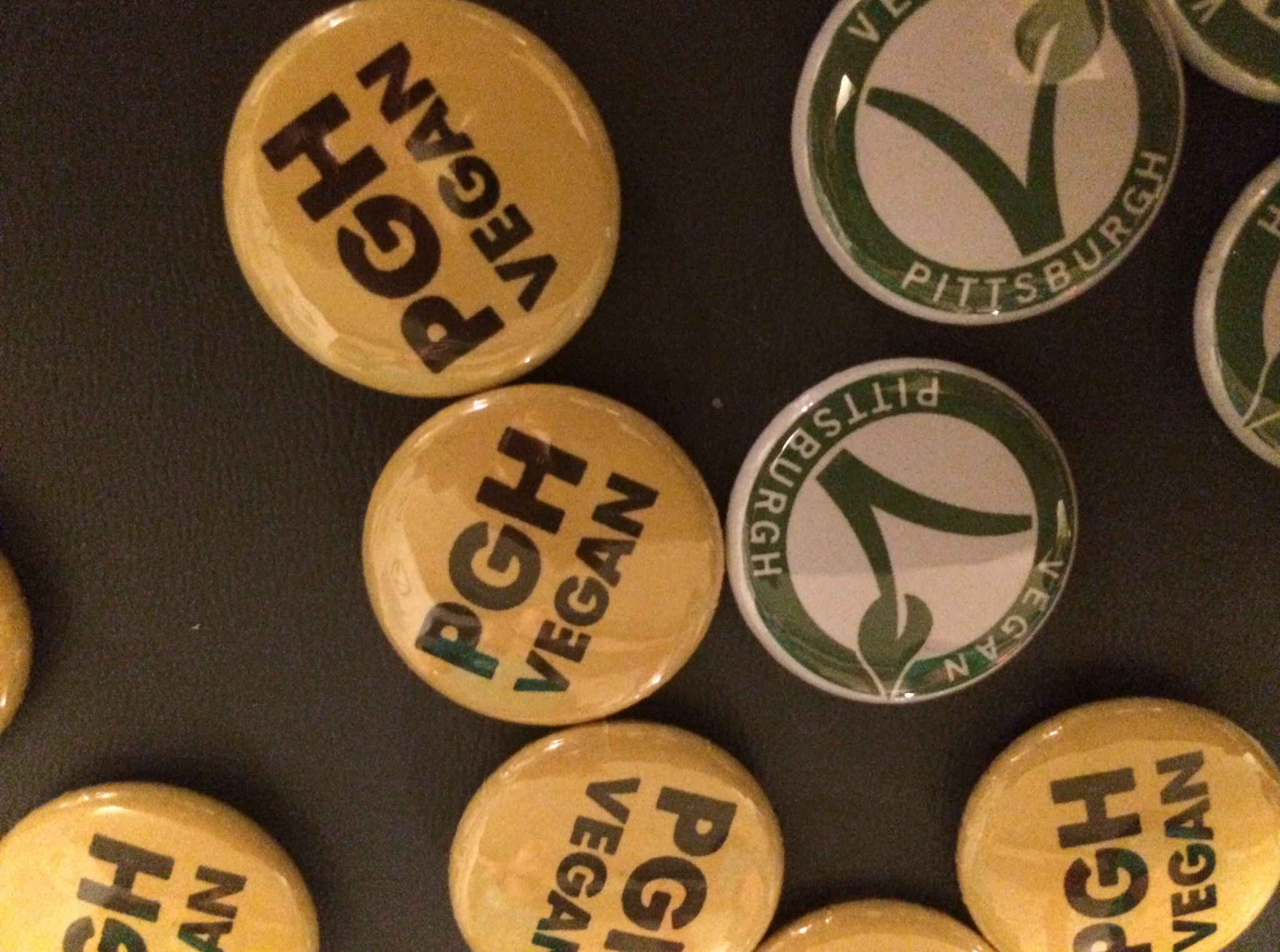 Pittsburgh Vegan Festival! Pittsburgh Vegan Festival!