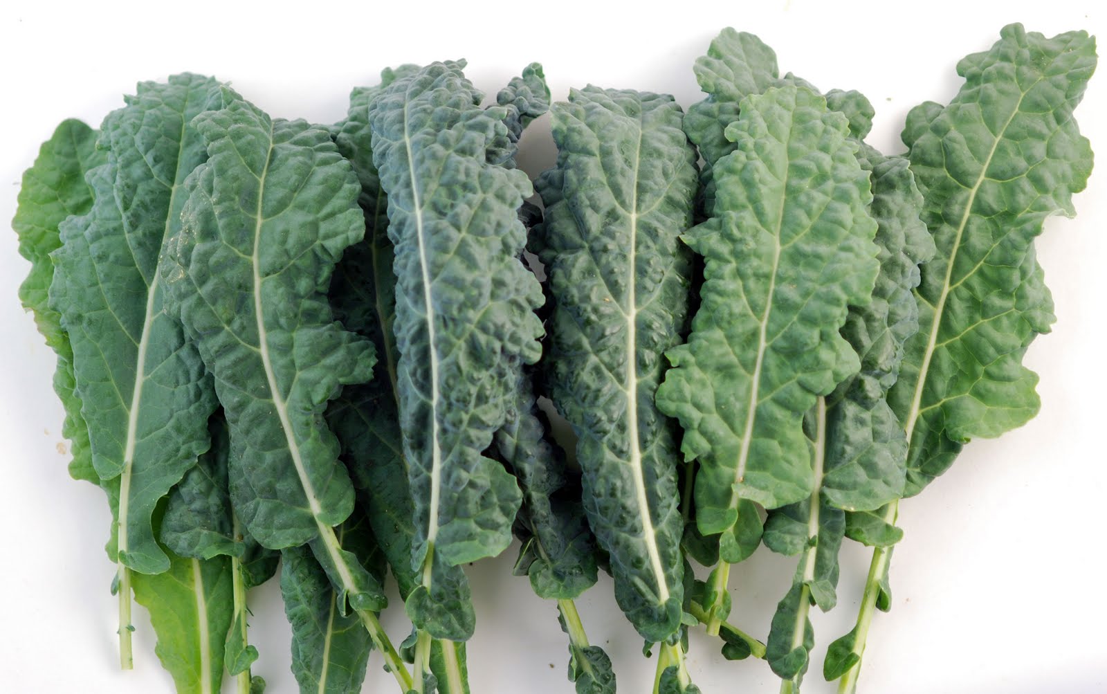 J-Wes’s Ultimate Secret Kale Recipe J-Wes’s Ultimate Secret Kale Recipe