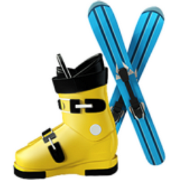 Skis Emoji (U+1F3BF)