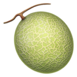 melon Emoji 🍈 (U+1F348)