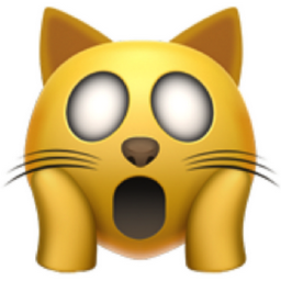 weary cat emoji