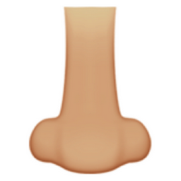 nose: medium-light skin tone emoji