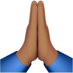 folded hands: medium skin tone emoji