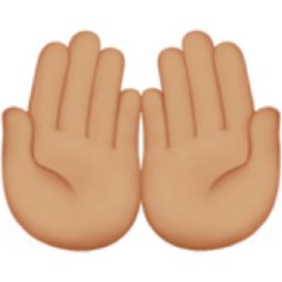 palms up together: medium-light skin tone emoji