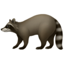 raccoon emoji
