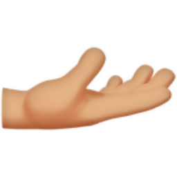 palm up hand: medium-light skin tone emoji