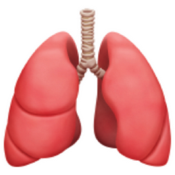 lungs emoji