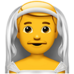 man with veil emoji