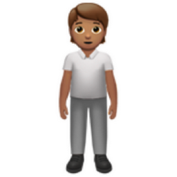 person standing: medium skin tone emoji