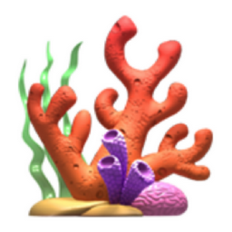 coral emoji