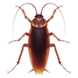 cockroach emoji