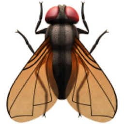 fly emoji