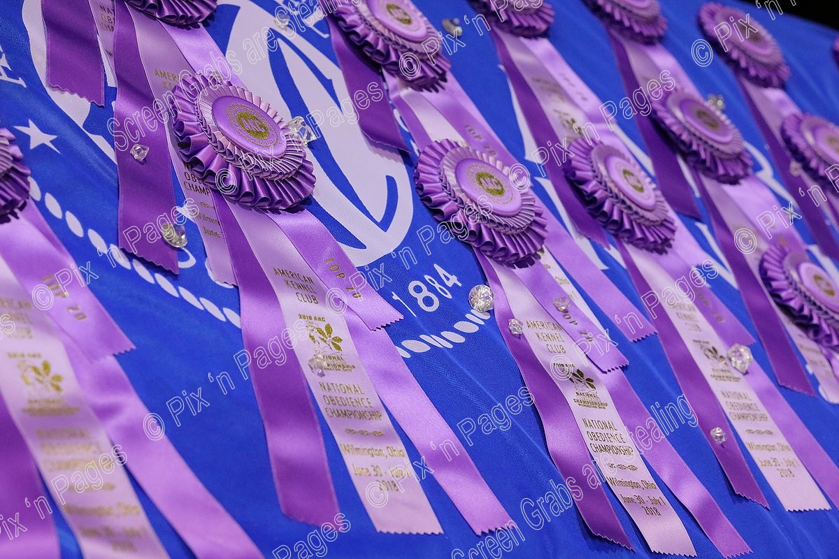 2018 AKC National Obedience Championship
