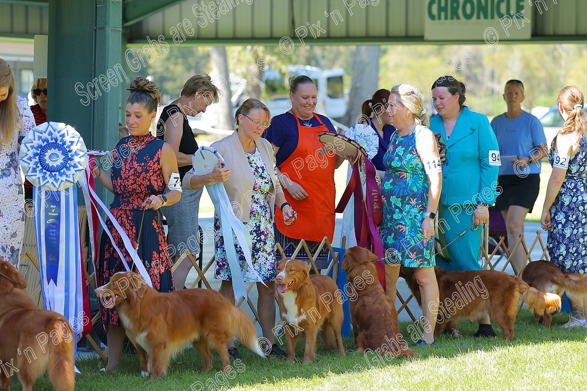 2023 NSDTRC Nova Scotia Duck Tolling Retriever Club National Specialty ...