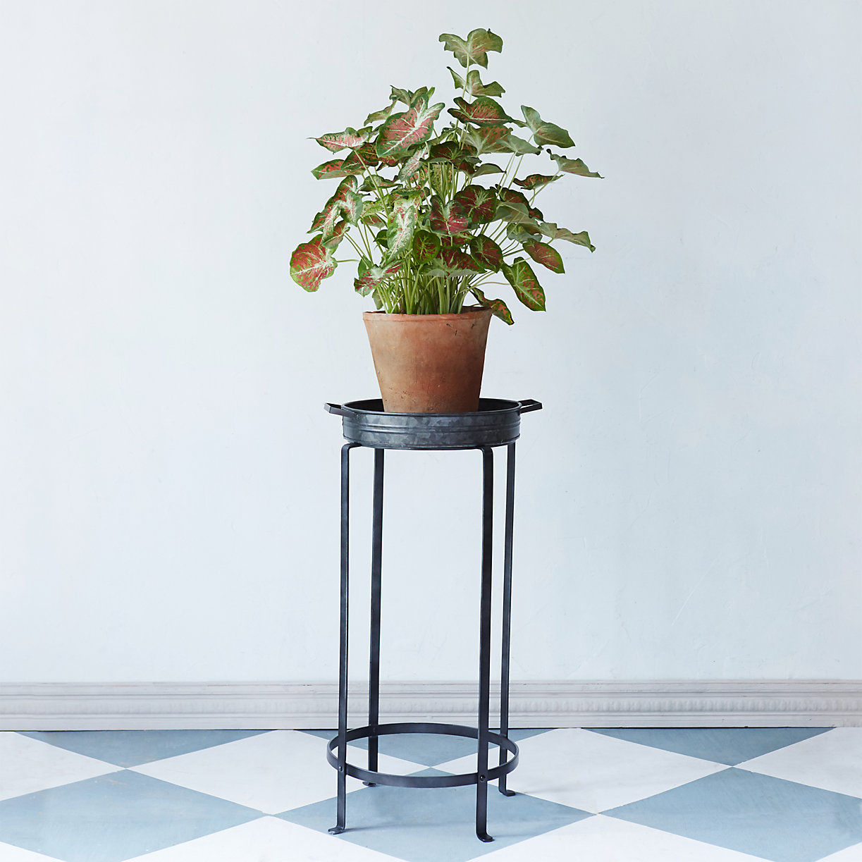 The Best Plant Stands For Every Budget Apartment Therapy