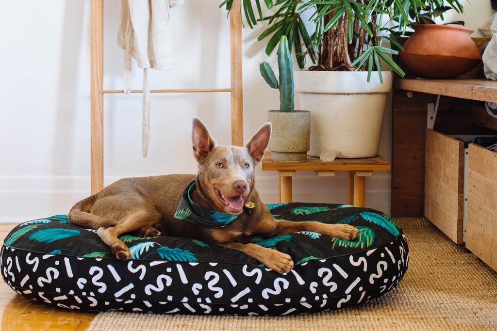 The Best Dog Beds for Design Lovers 2016 Cozy and Cute