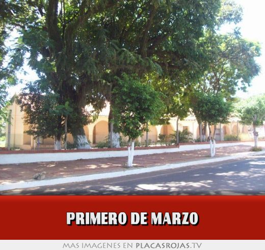 PRIMERO DE MARZO Placas Rojas TV