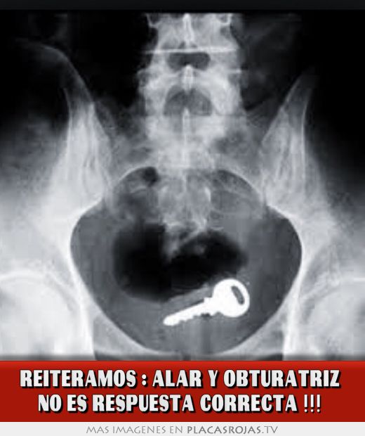 obturatriz-radiology-florence-florence-italy-diagnostic-imaging
