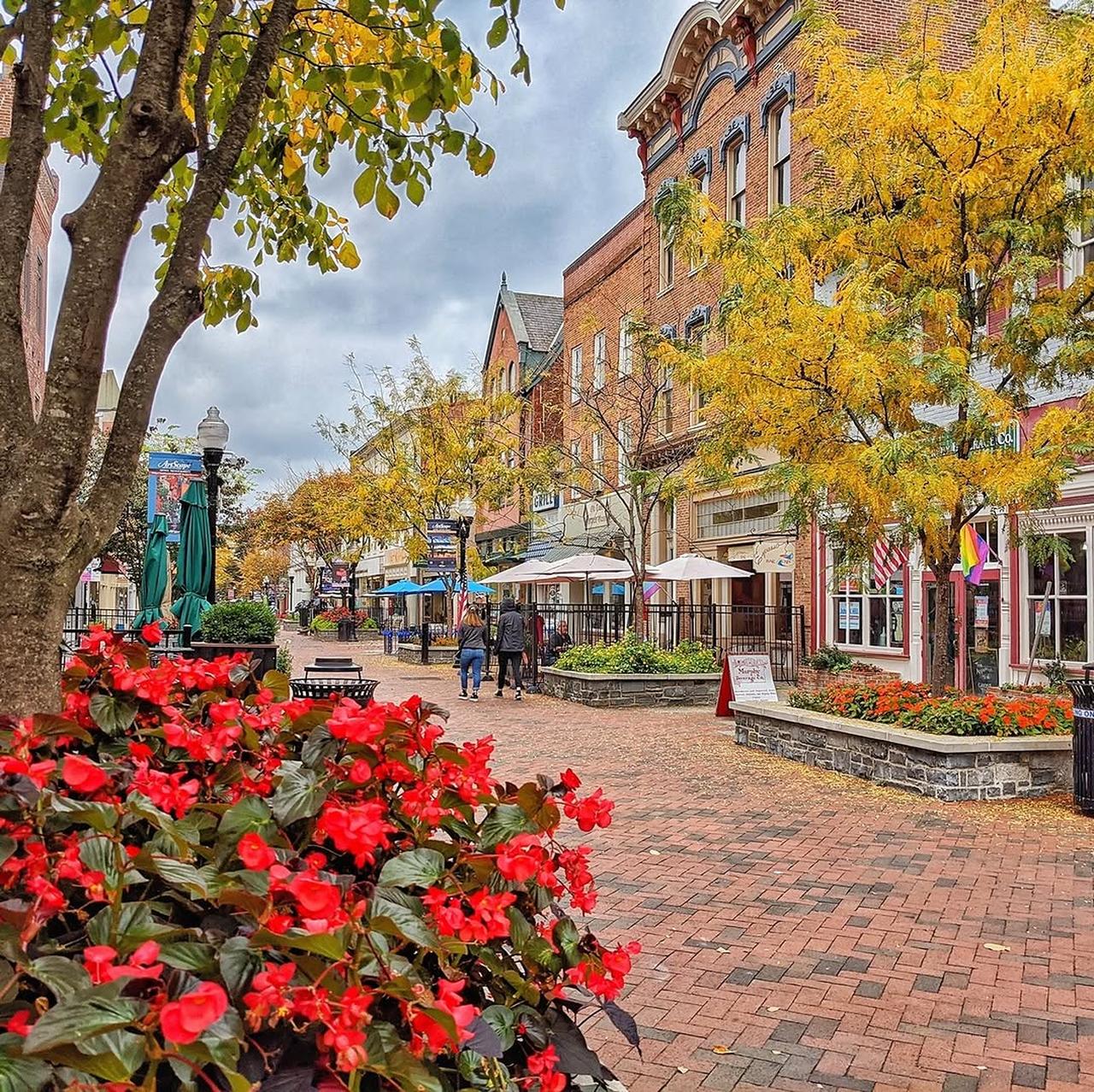 Washington DC Area Fall Foliage Guide