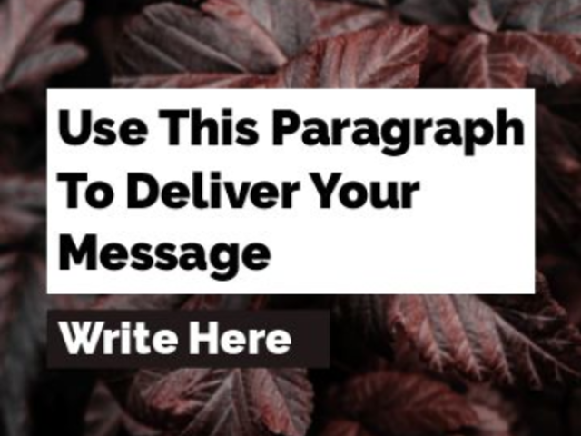 Instagram Story Video Maker Featuring a Minimal Layout and Simple Animations 3919-el1