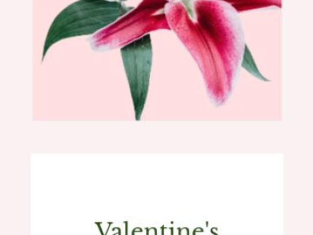 Instagram Story Video Creator to Promote a Valentine's Day Giveaway 4710