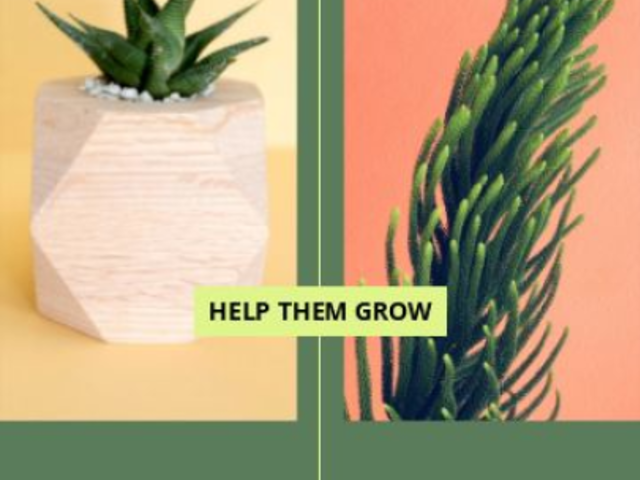 Minimal Instagram Story Video Maker for Plant Care Tips 4734-el1