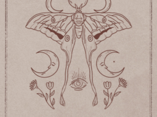 Esoteric Instagram Story Video Maker With a Dark Academia Aesthetic 4856