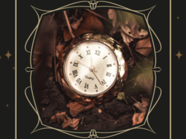 Instagram Story Video Creator Featuring a Dark Academy Theme with Animated Butterflies 4851