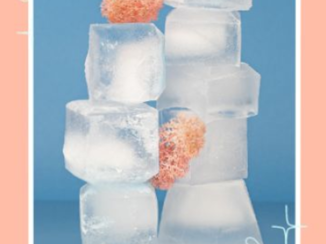 Food Styling-Themed Instagram Story Video Generator Featuring Cool Animations 4991