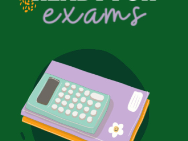 Back to School-Themed Instagram Story Video Maker With a Guide for Exams 5634