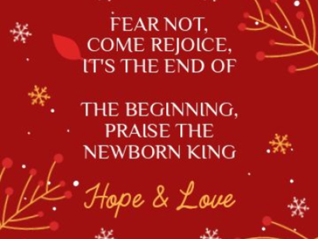 Quote Instagram Story Video Creator Featuring a Christmas Theme 5798