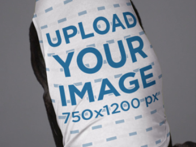 Pet Tank Top Video Featuring a Cute Dog at a Studio 5977v