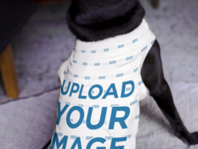 Video of a Cute Black Dog Wearing a Pet Tank Top 5978v