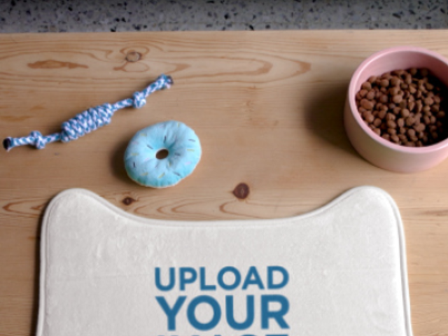 Video of a Pet Food Mat Placed on a Wooden Surface 5999v