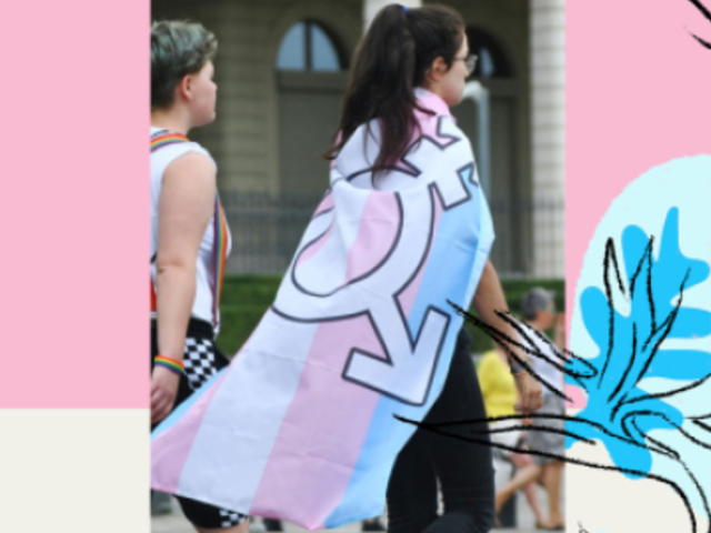 Instagram Story Video Template for Transgender Visibility Day 394f 6368