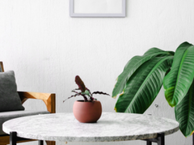 Video of an Art Print Placed on a Nice and Modern Living Room 6479v