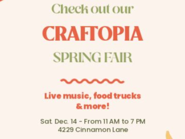 Instagram Story Video Template for an Arts and Crafts Spring Fair Ad 7374