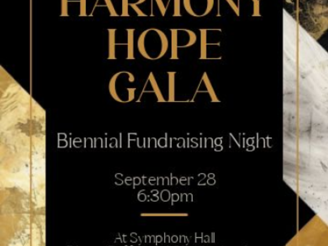 Instagram Story Video Maker with Animated Text for a Fundraiser Gala Invitation 8196